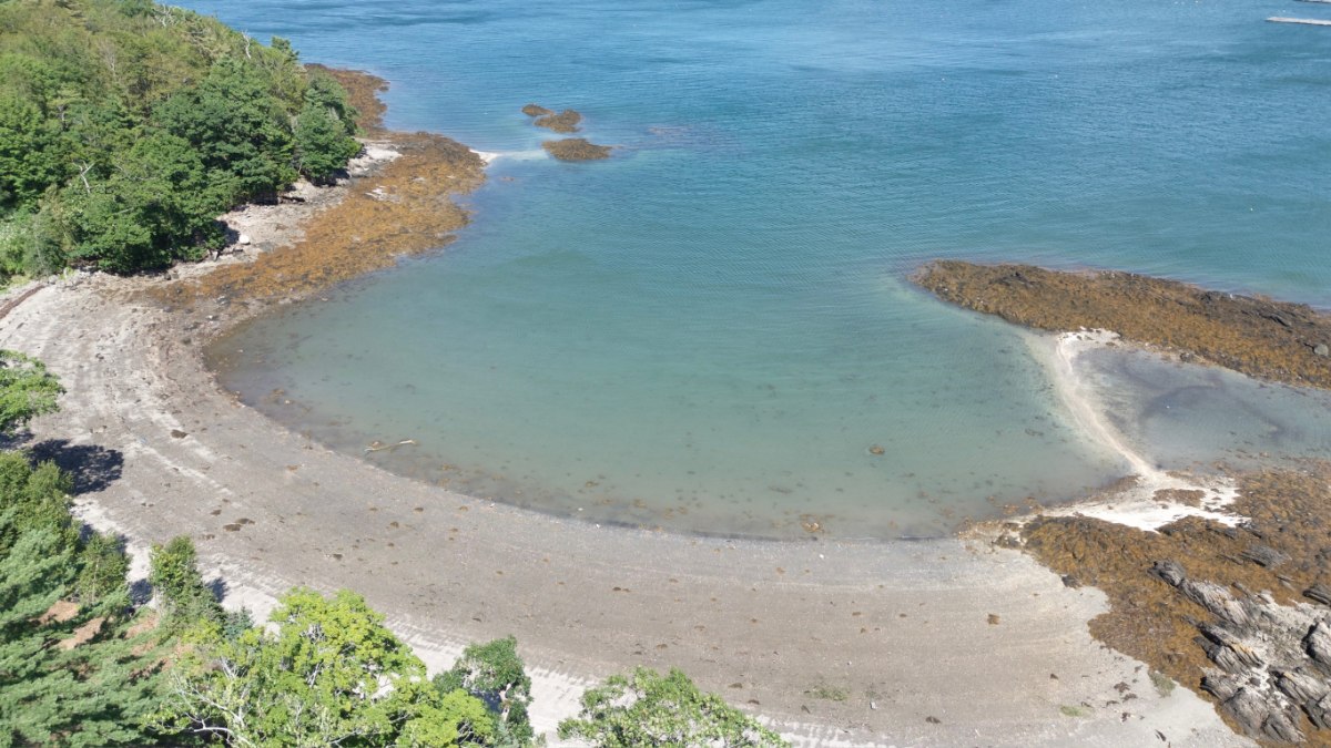 Beach Restoration
